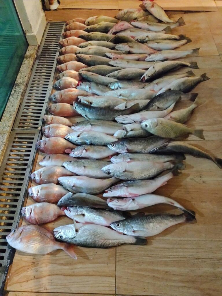 IMG-20250206-WA0040